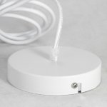 Подвесные светильники Lussole LSP-8220 DOVE