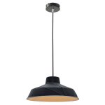 Светильник подвесной Lussole Loft LSP-9699