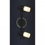 Светильник поворотный спот Lussole LSQ-6101-02 SILIQUA