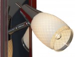 Светильник поворотный спот Lussole LSX-4801-03 CARLINO