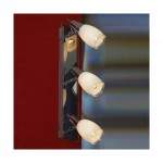 Светильник поворотный спот Lussole LSX-4801-03 CARLINO