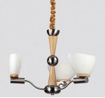 Люстра Lucia Tucci Natura 150.3