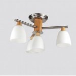 Люстра Lucia Tucci Natura 151.3.1