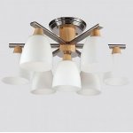 Люстра Lucia Tucci Natura 151.6.1