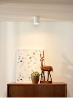 Потолочный светильник Lucide 09100/01/31 BODI