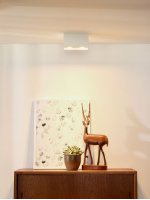 Потолочный светильник Lucide 09101/02/31 BODI