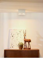 Потолочный светильник Lucide 09101/02/31 BODI