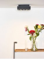 Потолочный светильник Lucide 09119/10/30