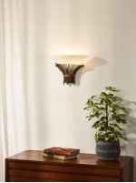 Настенный светильник бра Lucide 09205/01/97 CANNA