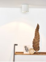 Потолочный светильник Lucide 09910/12/31 DIALO/LED