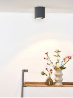 Потолочный светильник Lucide 09910/12/36 DIALO/LED