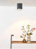 Потолочный светильник Lucide 09910/12/36 DIALO/LED