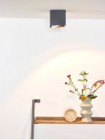 Потолочный светильник Lucide 09911/12/36 DIALO/LED