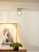 Потолочный светильник Lucide 09988/12/12 SPECTRUM LED