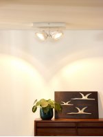 Потолочный светильник Lucide 09988/24/31 SPECTRUM LED