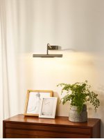 Подсветка для картин Lucide 16225/02/12 FERRADY