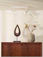 Потолочный светильник Lucide 17990/10/31 TWINNY LED