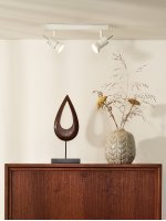 Потолочный светильник Lucide 17990/10/31 TWINNY LED