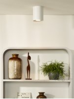 Потолочный светильник Lucide 22952/01/31 TUBE