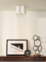 Потолочный светильник Lucide 22952/02/31 TUBE