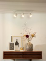 Потолочный светильник Lucide 26994/15/31 RILOU