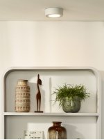 Потолочный светильник Lucide 28106/11/31 BRICE-LED