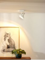 Потолочный светильник Lucide 31930/12/31 TALA