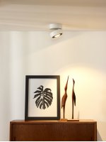 Потолочный светильник Lucide 33157/10/31 MITRAX