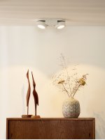 Потолочный светильник Lucide 33158/10/31 MITRAX