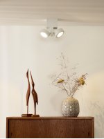 Потолочный светильник Lucide 33159/10/31 MITRAX