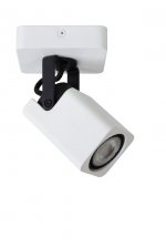 Потолочный светильник Lucide 33961/05/31 ROAX LED