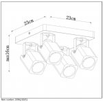 Потолочный светильник Lucide 33961/20/31 ROAX LED
