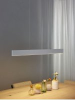 Подвесной светильник 45455/50/31 RAYA Lucide