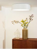 Потолочный светильник 46100/32/31 TALOWE Lucide