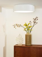 Потолочный светильник 46100/32/31 TALOWE Lucide