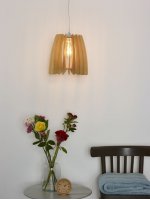 Подвесной светильник 46407/26/76 ETTA Lucide