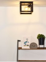 Потолочный светильник 73102/01/15 THOR Lucide