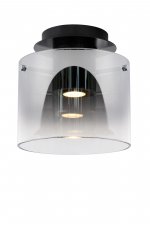 Потолочный светильник Lucide 74102/20/65