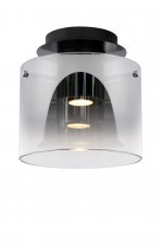 Потолочный светильник Lucide 74102/20/65