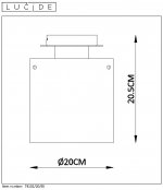 Потолочный светильник Lucide 74102/20/65
