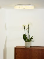 Потолочный светильник 79102/28/60 VIVI Lucide