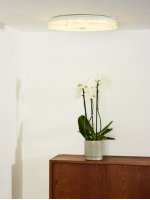 Потолочный светильник 79102/28/60 VIVI Lucide