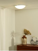 Потолочный светильник Lucide 79173/10/31 BRINK