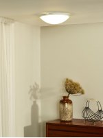 Потолочный светильник Lucide 79173/10/31 BRINK