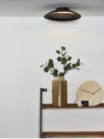 Потолочный светильник Lucide 79177/12/30