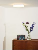 Потолочный светильник 79199/14/61 OTIS Lucide