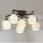 Люстра Lussole LSL-8807-06 Mores