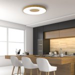 Потолочный светильник COIN 7562 Mantra