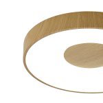 Потолочный светильник COIN 7565 Mantra