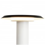 9004 Настольная лампа TINA